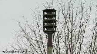 Whelen WPS-2904 Snowy Siren Test (Wail) Murfreesboro, TN
