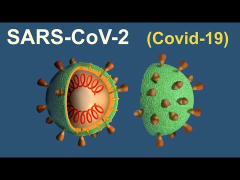 Video: Cómo prevenir el SARS: 12 pasos (con imágenes)