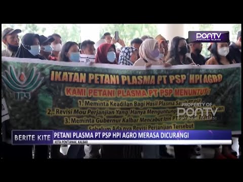 Petani Plasma PT PSP HPI Agro Merasa Dicurangi