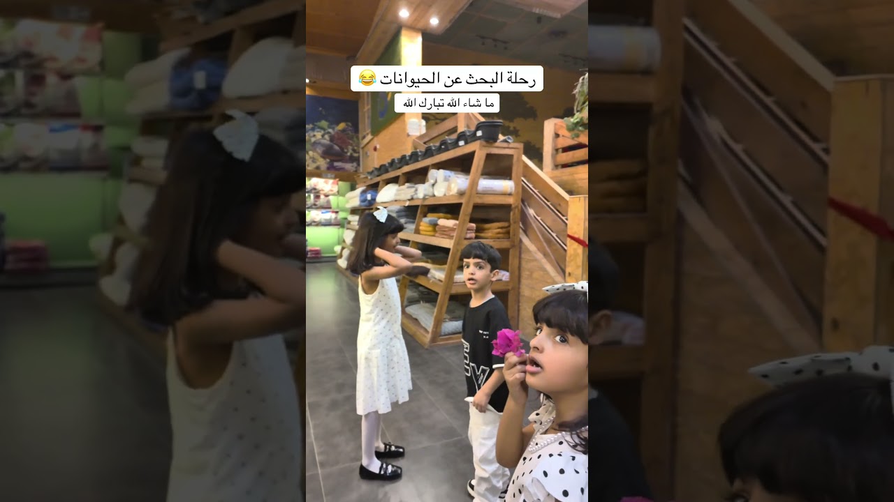 البحث عن الحيوانات!!