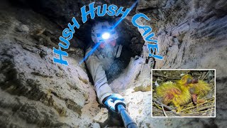 Exploring Hush Hush Cave!