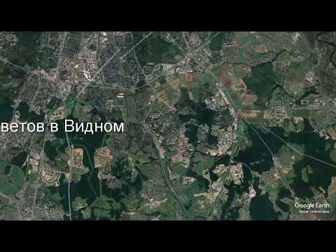 Доставка цветов в Видном - Заказ букетов от компании Скорая подарочная помощь