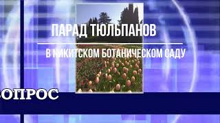 Парад тюльпанов в Никитском ботаническом саду.