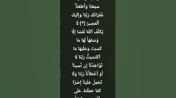 #القرآن_الكريم #المصحف #راحة_نفسية #تلاوات #صلوا_على_النبي