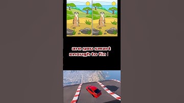 Find  Differences in 30 Seconds Challenge - Test Your IQ #iqtest   #brainteaser