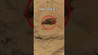 Mars Rover Curiosity SOL 0200 | quicksolutions-data #mars