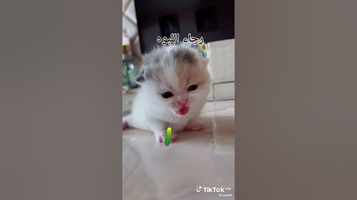 رجاء الموموس مش لاقيه حد ينيكها 😝😜