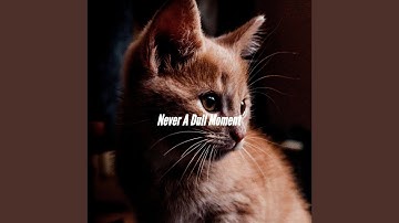 Pulsating Music for Chilling the Details