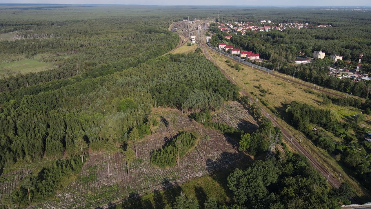 Węgliniec Stacja, okolice