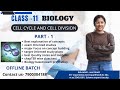 INTERPHASE || CELL CYCLE AND CELL DIVISION || PART 1