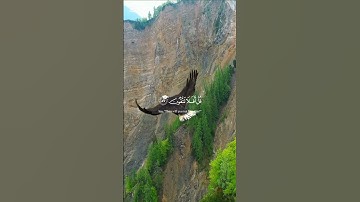 سورة المؤمنون الشيخ ياسر الدوسري