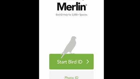 #31daysofCitizenScience- Merlin Bird ID and EBird