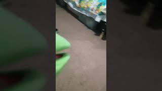 Kermit the Frog while sleeping