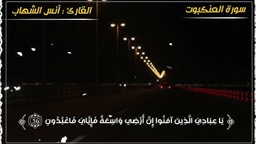 #تلاوات_قصيرة تلاوة خاشعة بصوت القارئ الطفل انس الشهاب