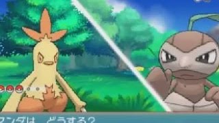 【実況】ポケモンオメガルビーをプレイ！ #9 【ルビサファリメイク|Pokemon ORAS】