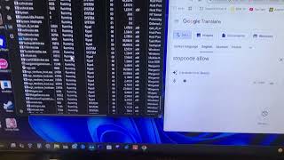 Google Translate Has Bsod