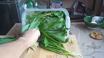 Черемша впрок ( нашинковать и заморозить в морозилке).