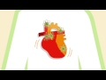 How Exercise Improves Heart Health – Healthfirst Healthy Living