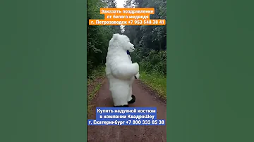 Где купить и где заказать белого медведя?