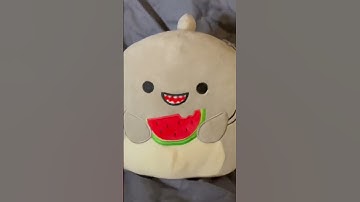 Let’s talk about GORDON #squishmallowhunting #squishmallows #squish #squishmallowsquad