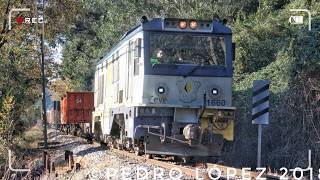 392- PRIMER TREN A LUTXANA DESDE LA TRANSFERENCIA A EUSKADI