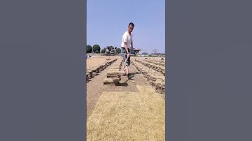 The process of digging turf with a steel shovel #shorts #machine #goodtools