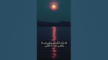 القارئ الشيخ مشاري فالح