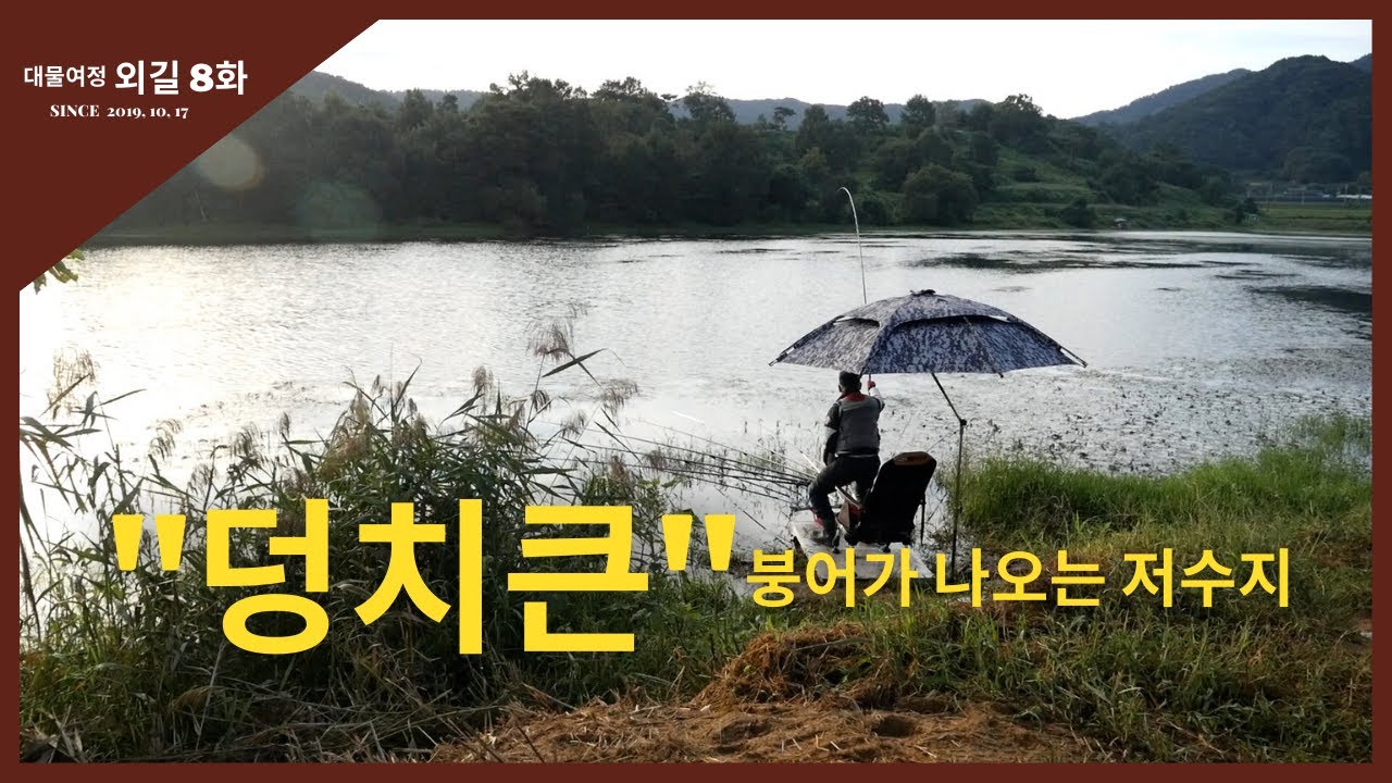 대물여정 외길 [8화] 덩치 큰 붕어가 나오는 저수지