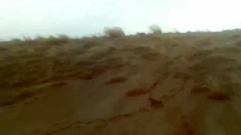 Big dune runnin in the wind