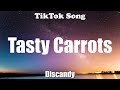 Discandy - Tasty Carrots (Lyrics) - TikTok Song