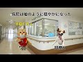 コロナ対応で地獄と化した病院の話 その6【猫ミーム】【猫マニ】
