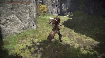 Elden Ring Bug Invisible Enemies
