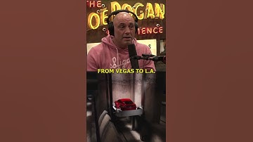 Joe Rogan And Tim Dillon Disagree on Elon Musk