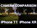 iPhone 11 VS iPhone XR - Camera Comparison!