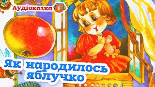 🇺🇦 Аудіоказка "Як народилось яблучко" Галина Кирпа