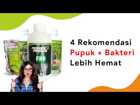 Video: 3 Cara Memangkas Mint