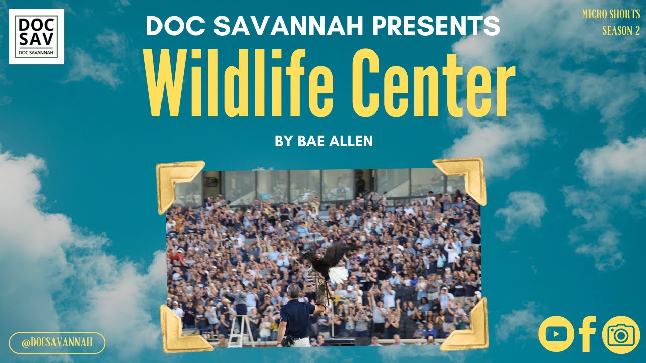 Wildlife Center (2024)