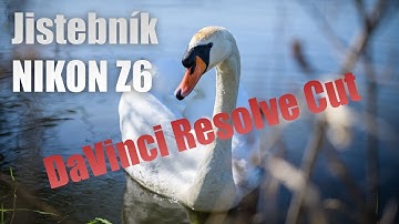Jistebnik Fishponds + NIKON Z6 DaVinci Resolve Cut