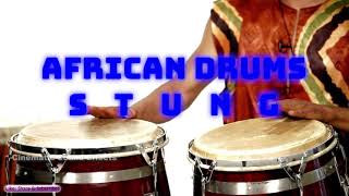 African Drums Stung Sound Effects Non Copyright