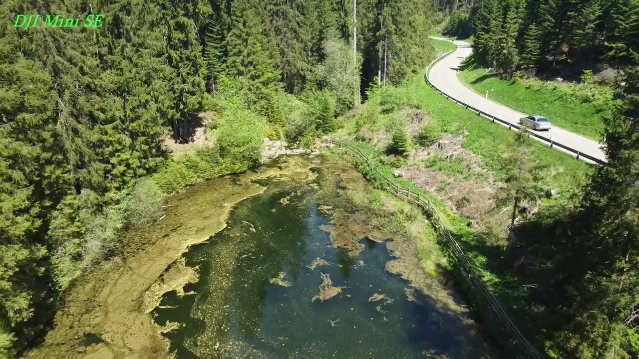 2022-05-22_DJI Mini SE, Flug am Poppelsee