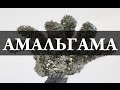 Амальгама, плавающий металл и хим деревья. Химия – просто