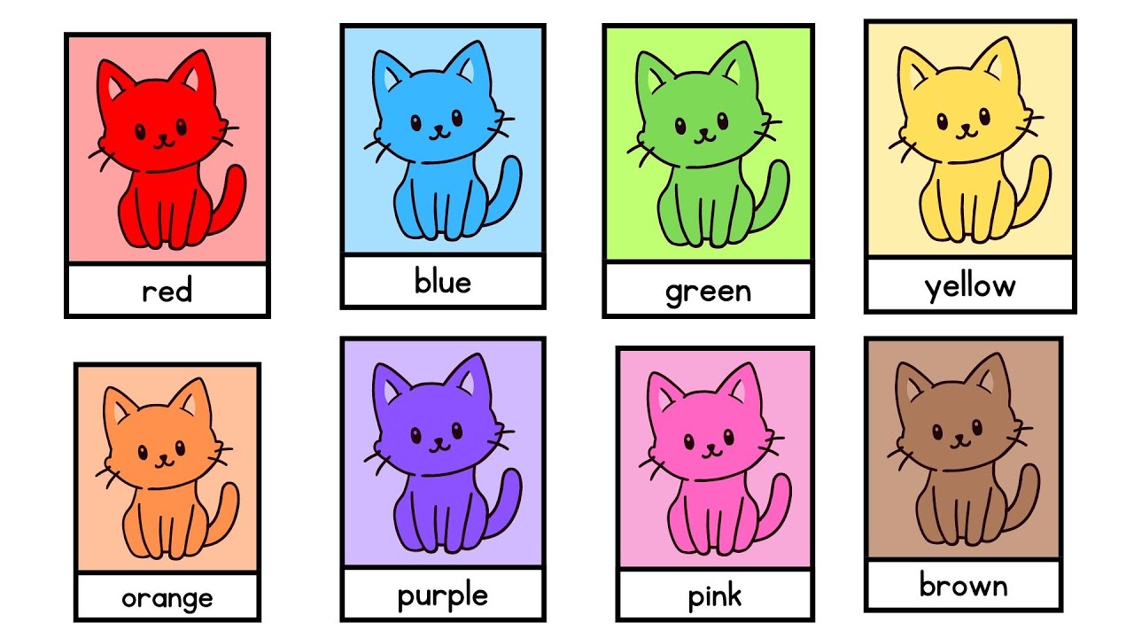 "Color Quest: Discover the Rainbow of Fun!"