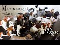 Моя коллекция собак от Папо/ My dogs collection by Papo
