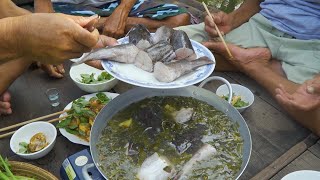 'Cá Lăng nấu Lẩu Lá Giang' Lai Rai trên Sông Nước Miền Tây | Nét Quê #506