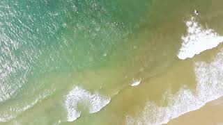 Onshore Surfers & Stripedbass Frenzy- Long Island NY