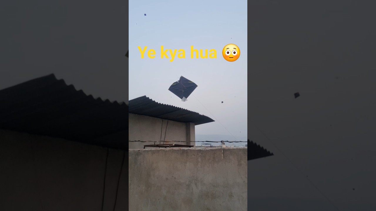 "Why This Colorful Kite Festival Turns Deadly Every Year"