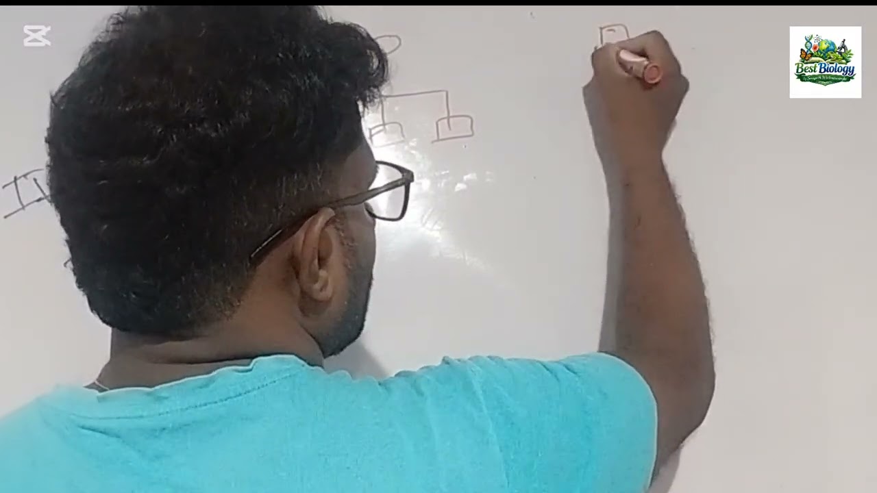 මානව මෙන්ඩලීය ලක්ෂණ ප්‍රවේණි ගතවන ආකාරය පෙලවැල සටහන් ආකාරය Genogram A/L Biology 