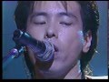 東京・Lovers Map /関口誠人