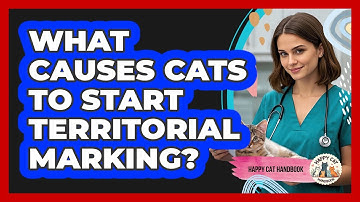 What Causes Cats To Start Territorial Marking? - Happy Cat Handbook