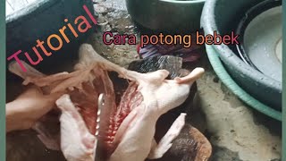 Download Lagu Cara potong bebek,1 ekor jadi 12 potong.   #peluangusaha.  #kuliner. MP3